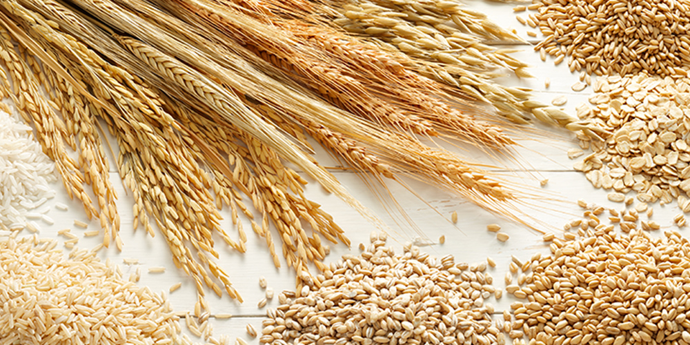 tezel-dis-ticaret-Yagli-Tohumlar